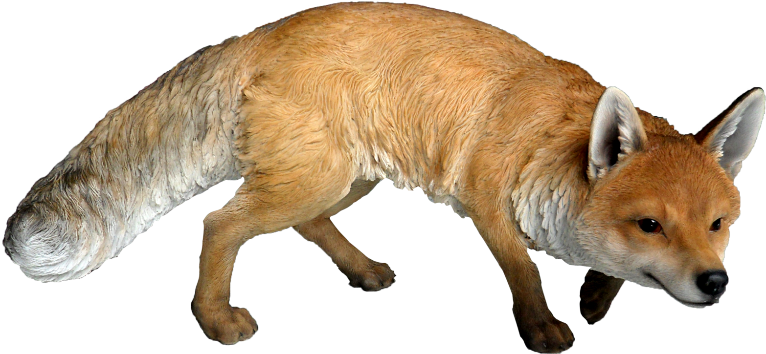 Fox Png - Real Woodland Animals (1763x870), Png Download