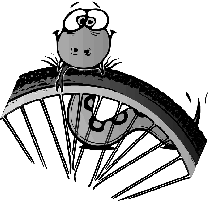 Clip On Fangs - Snake Clip Art (800x773), Png Download