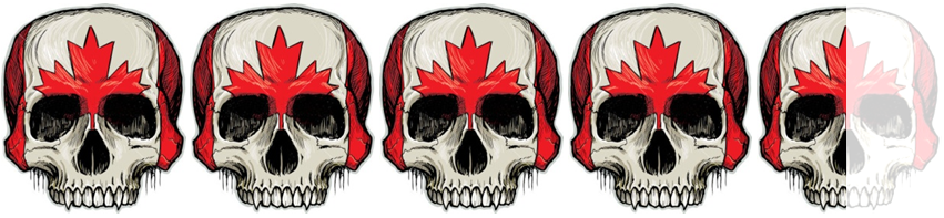 Rating2 - Magnet America Skull Halloween Magnet 104117764 (851x197), Png Download
