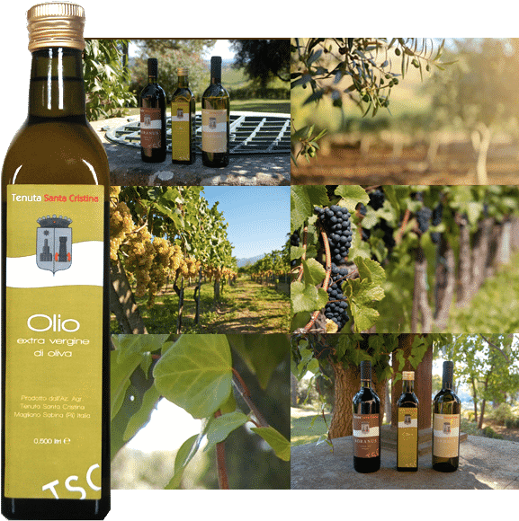 White Wine And Extra Virgin Olive Oil - Rome (604x603), Png Download
