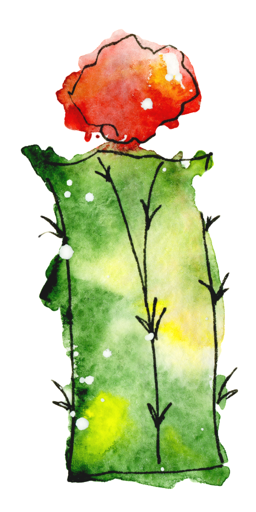 Green Flower Cactus Watercolor Hand Painted Transparent - Watercolor Painting (1024x1024), Png Download