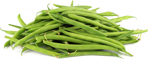 Beans French (500x500), Png Download