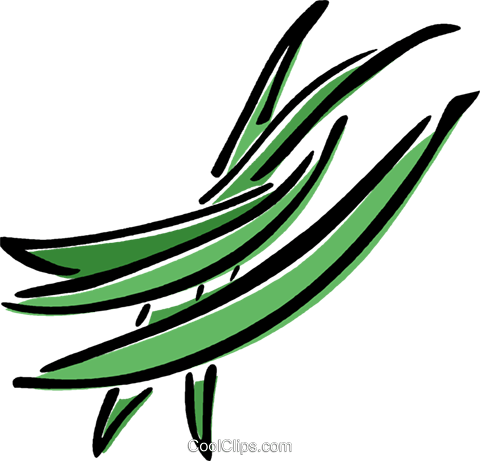 Green Beans Royalty Free Vector Clip Art Illustration - Clip Art Green Beans (480x461), Png Download