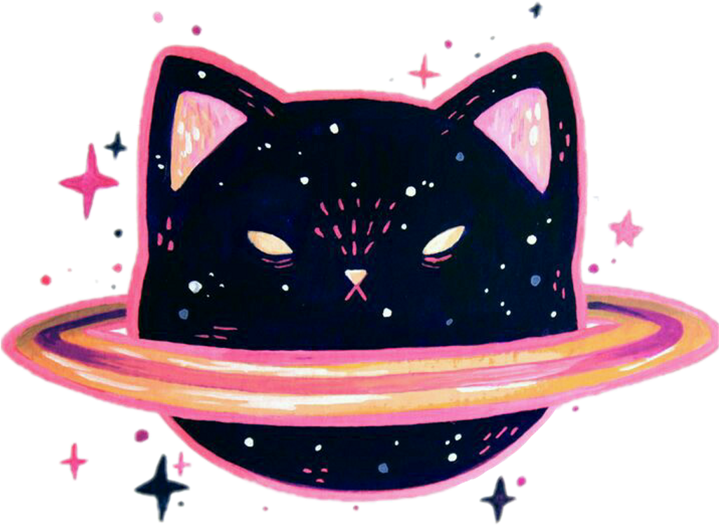 Space Galaxy Cat Kitty Cute Hipster Pink Black Tumblr - Galaxy Sticker Cat (1024x1024), Png Download