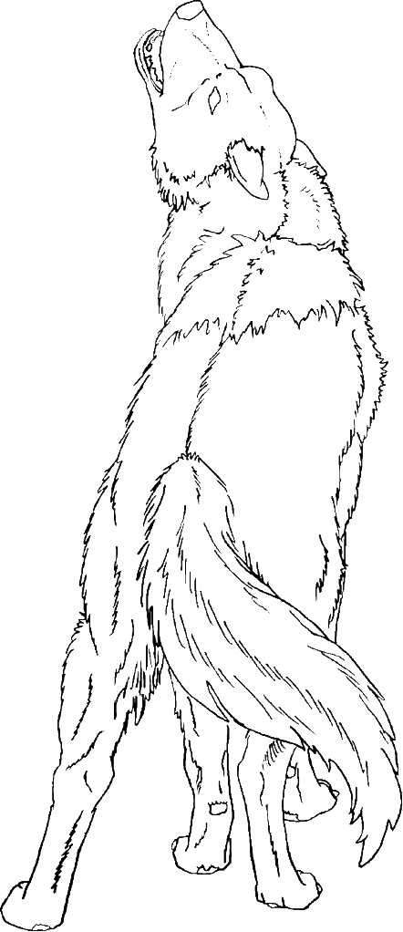Coloring Howling Pages Wolf Silhouettes - Transparent Wolf Coloring Page (442x1022), Png Download