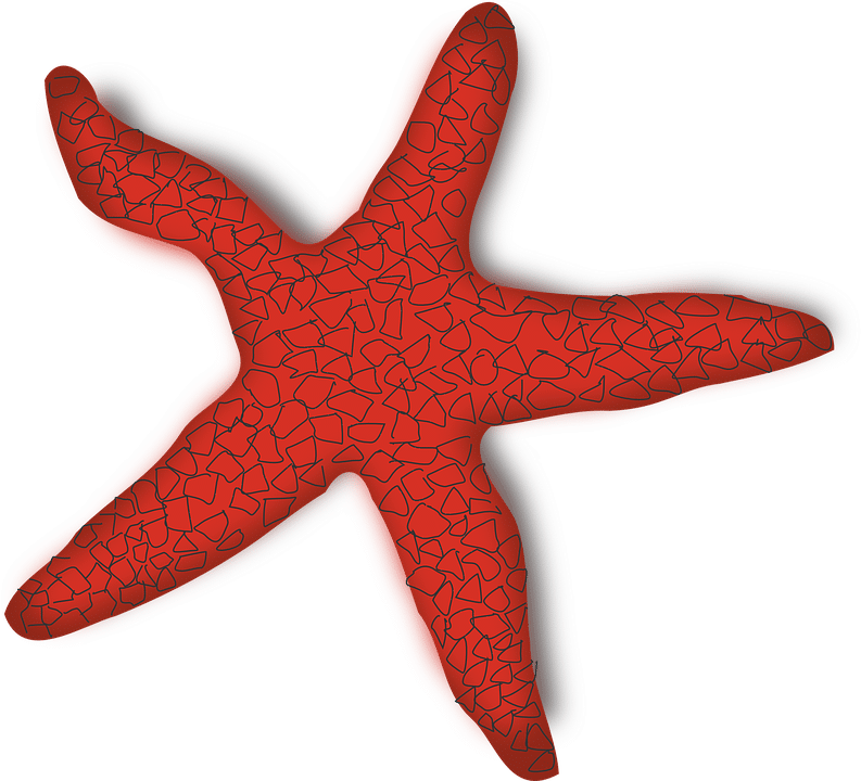 Red, Outline, Star, Silhouette, Cartoon, Fish, Free - Red Starfish Clipart (640x580), Png Download