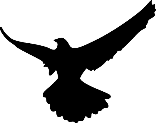 Flying Crow Silhouette Png (534x420), Png Download