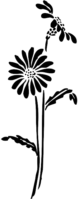 Black, Silhouette, Flower, White, Flowers, Daisy, Plant - Flower Silhouette Transparent Background (320x640), Png Download