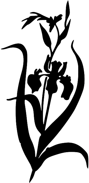 Silhouette, Flower, Free, Iris, Plant, Garden, Bush - Iris Flower Iris Clipart Black And White (320x640), Png Download