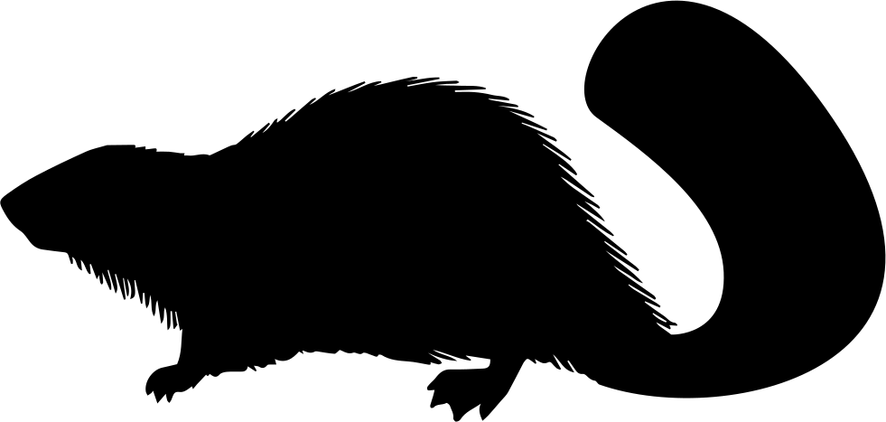 Beaver Mammal Animal Shape Svg Png Icon Free Download - Beaver Shape Black And White (981x467), Png Download