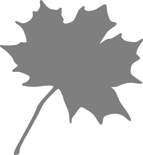Maple Leaf Clip Art - Clipart Canada Maple Leaf (552x597), Png Download