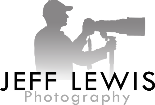 Sports Photography - The Bentley (500x337), Png Download