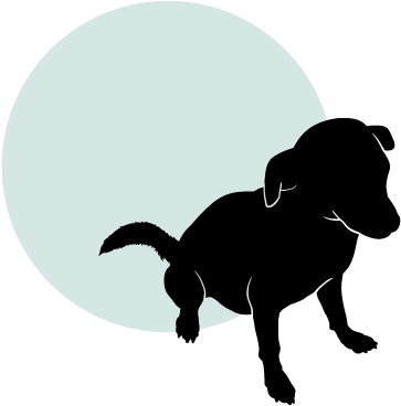 Or Perhaps You Have Just Brought Your New Puppy &nbsp - Dog (400x400), Png Download