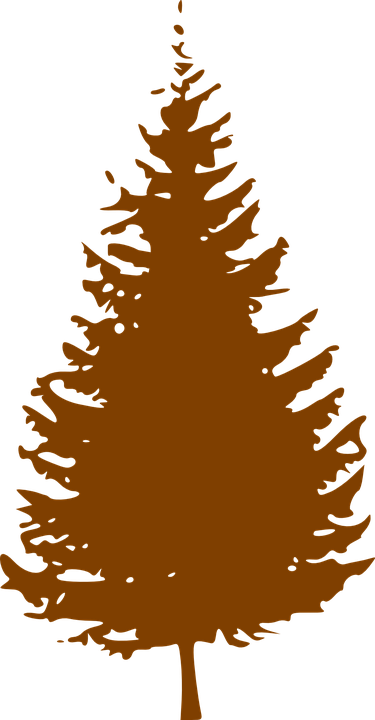 Christmas Tree Silhouette - Pine Tree Silhouette (375x720), Png Download
