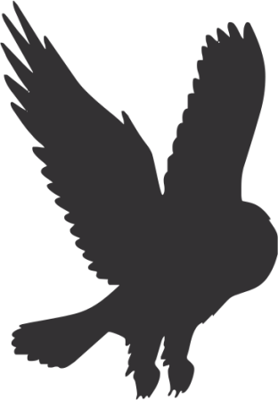 Owl Silhouette Png Download - Flying Owl Cartoon (312x448), Png Download