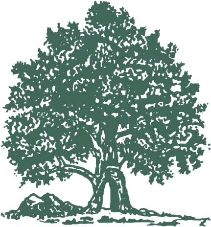 Illustration (450x482), Png Download