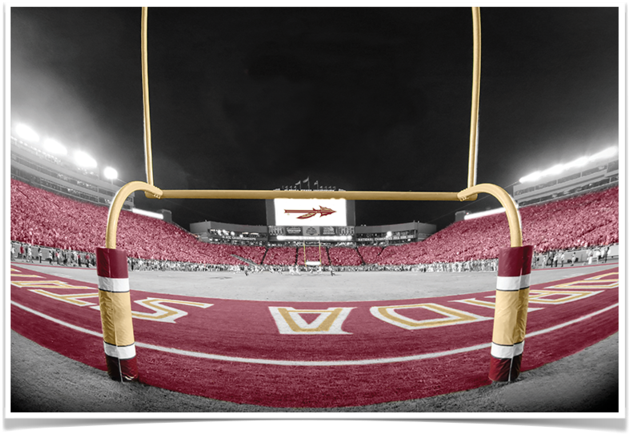 Florida State Seminoles - Satchel (800x800), Png Download