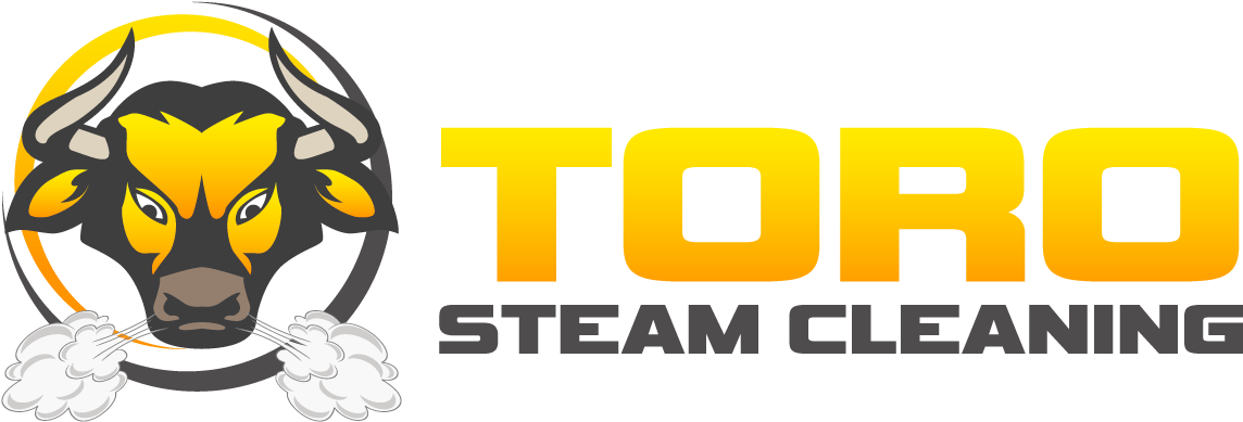 Toro Steam Cleaning - Illustration (1170x410), Png Download