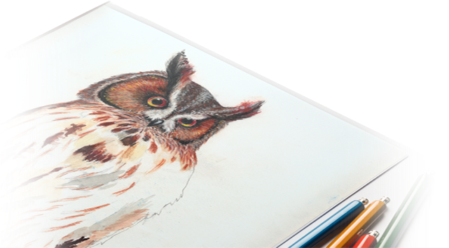 Illustration - Graphic Design (869x411), Png Download