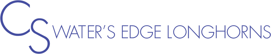 Waters Edge Longhorns Logo - Logo (877x176), Png Download