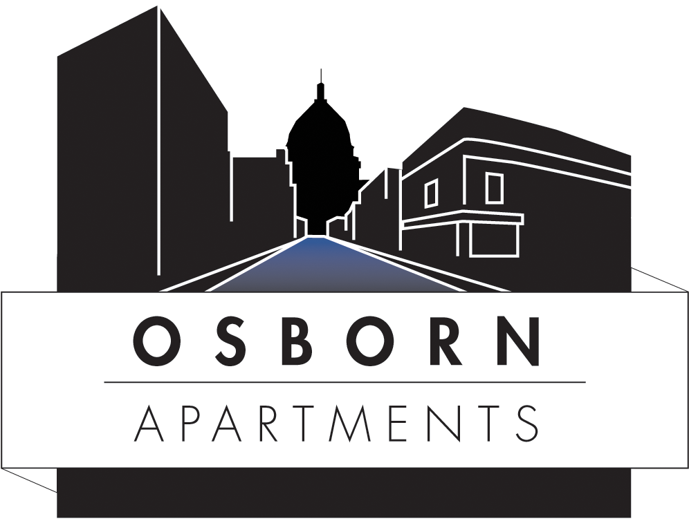 Logo No White Background - Illustration (1009x772), Png Download