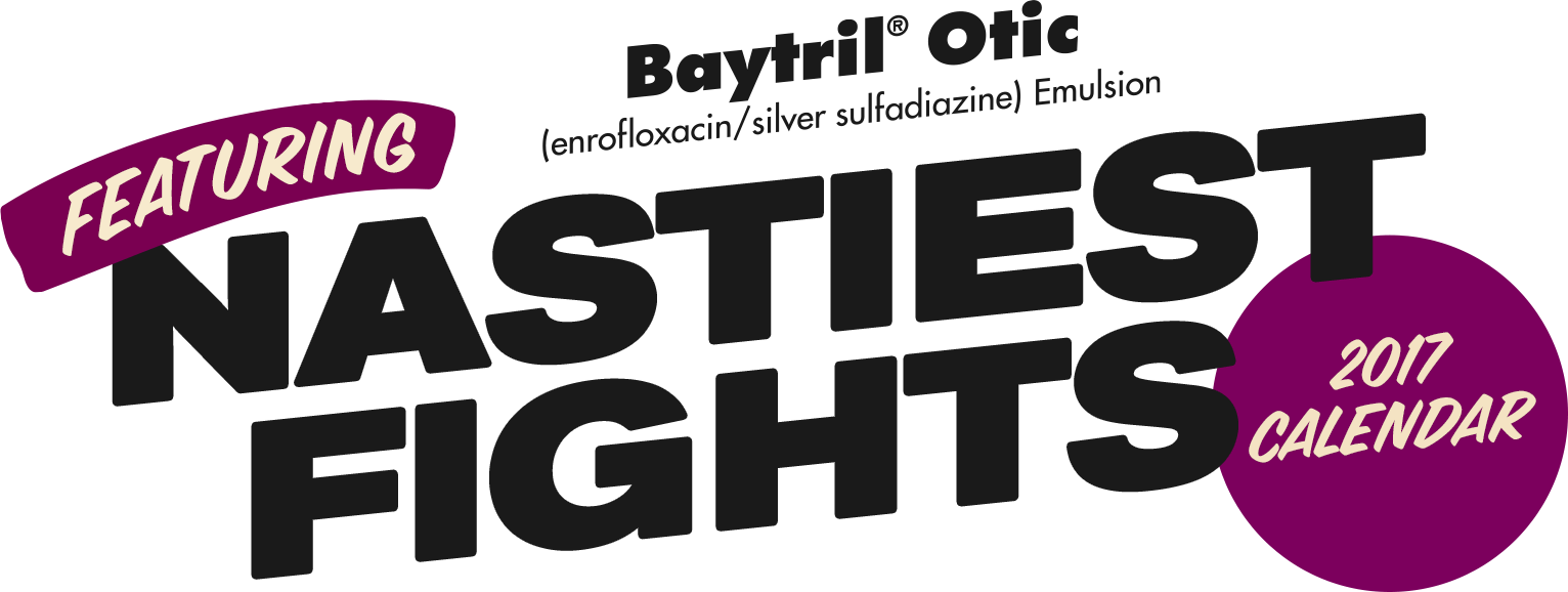 Bayer Nastiest Fights - Customer Satisfaction Cartoon (1532x578), Png Download