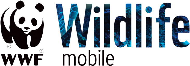 Wwf - Jared Leto Hot Actor Singer 47x35 Print Poster (840x332), Png Download