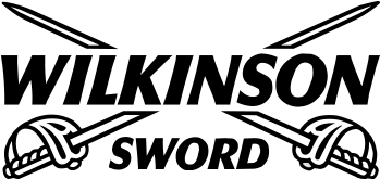 Ws Logo (500x300), Png Download