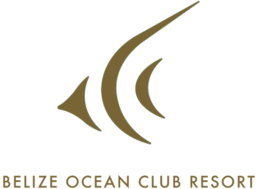 Belize Ocean Club Resort Logo - Belize Ocean Club Logo (500x369), Png Download