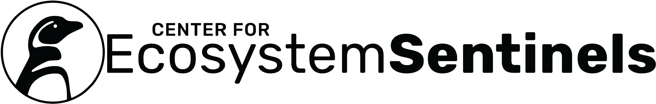 Logo Smallest Pingu - Ecosystem (2346x552), Png Download