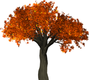 Bäume / Trees - Autumn Tree Png (380x340), Png Download