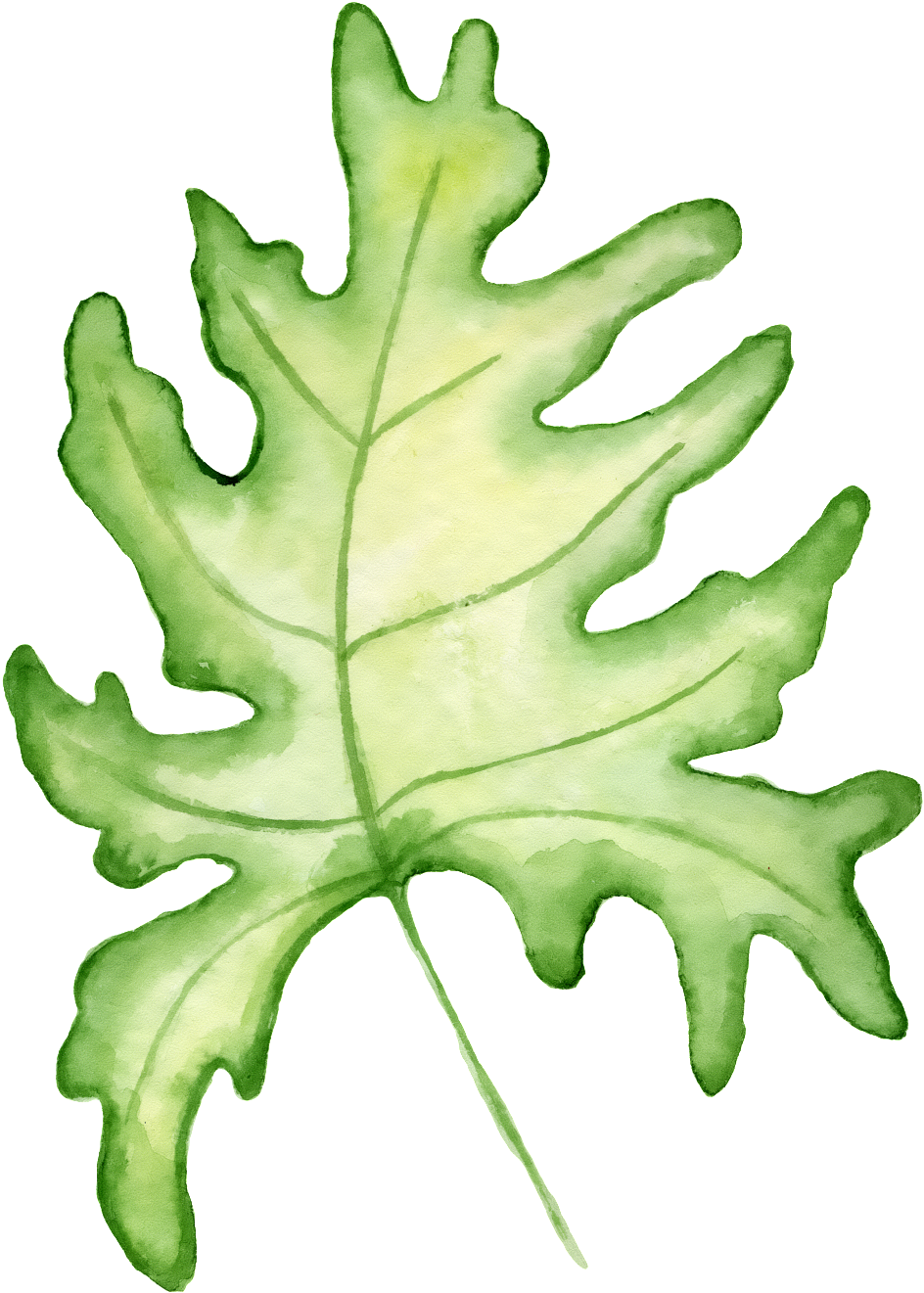Hand Painted A Large Leaf Png Transparent - Portable Network Graphics (1024x1430), Png Download