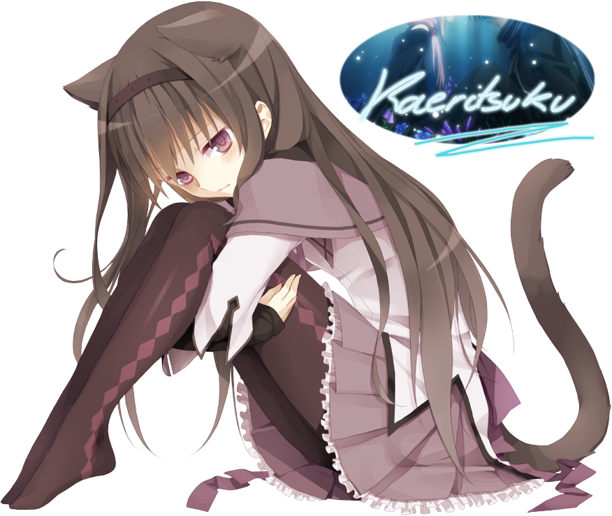 111893 Akemi Homura - Anime Homura Akemi Neko (876x738), Png Download