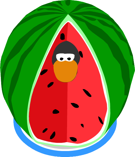 Watermelon Costume Ig (473x552), Png Download
