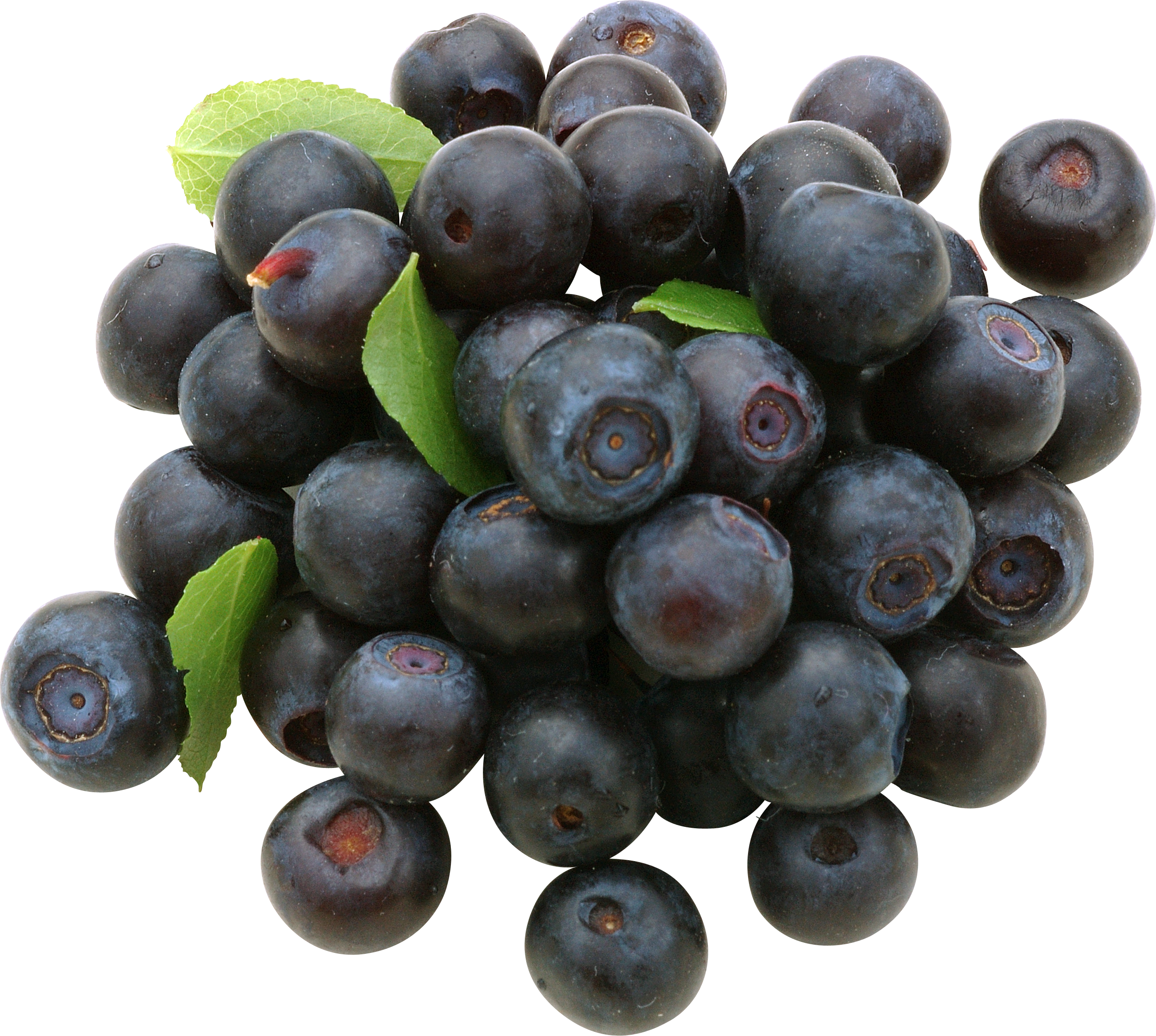 Blueberry (2533x2269), Png Download