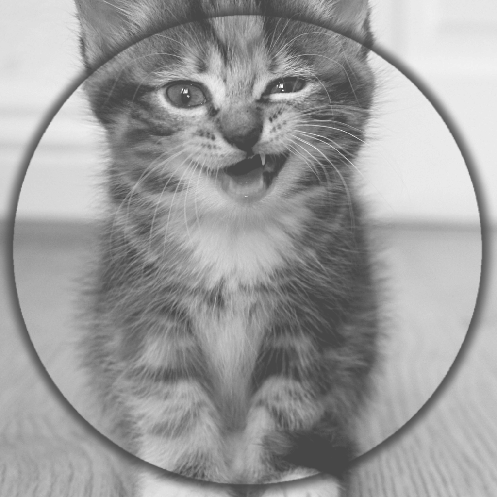 Skin-ogario Png "cat Angry" By (1024x1024), Png Download