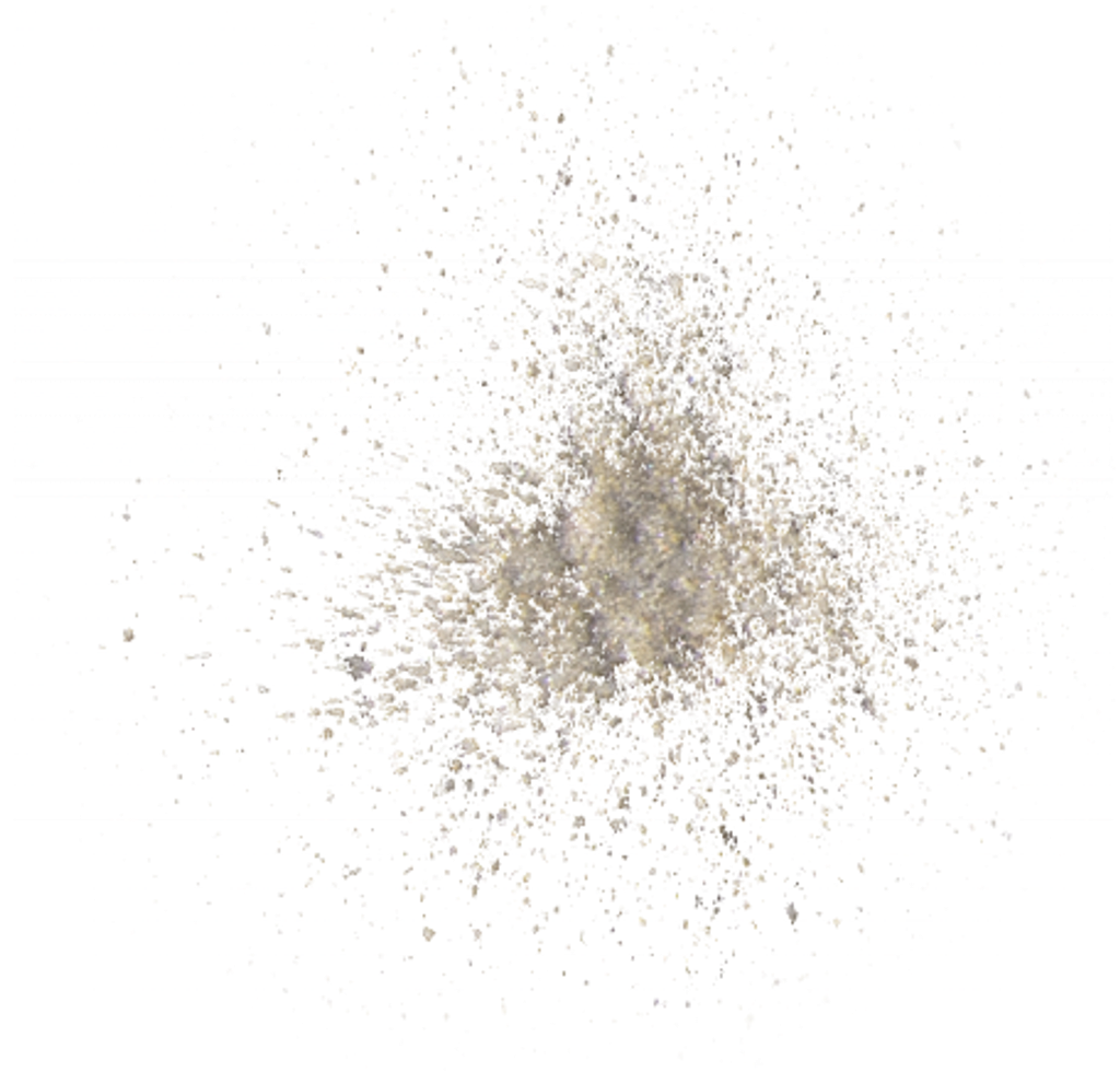 Dust Effect Png - Bird (1024x1024), Png Download