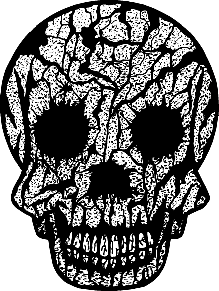 Design Concept For Brooklyn Based Candle Company Jolly - Skull (444x591), Png Download