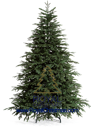 Characterize Are The More Pointed Branches - Outdoor Christmas Tree Png (308x450), Png Download