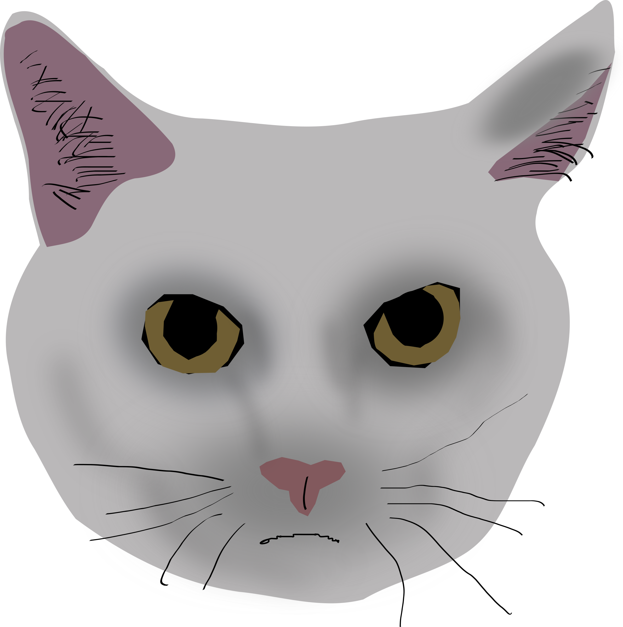 Cat Head Image Transparent Download - Clip Art (2383x2400), Png Download