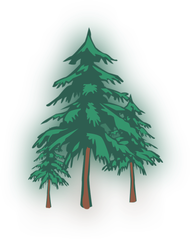 Color Palette Ideas From Christmas Tree Woody Plant - Christmas Tree (700x500), Png Download