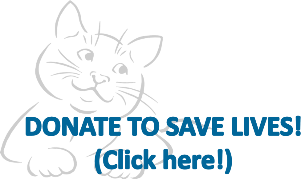 Donate Logo - Blank Sketchbook For Cat People (1000x582), Png Download