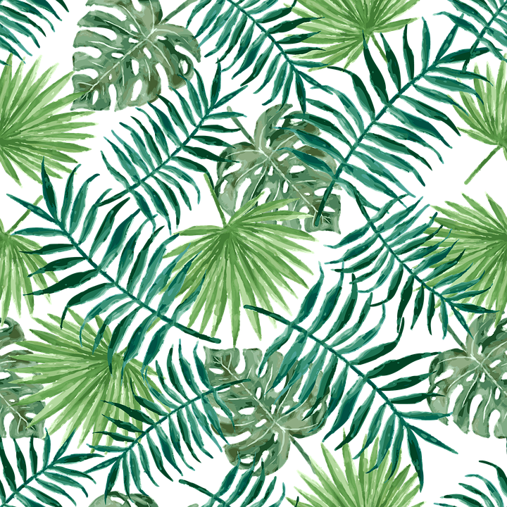 Pattern Design Leaf Palm Fabric Green Plant Seamless - Jason Body Wash Men (720x720), Png Download