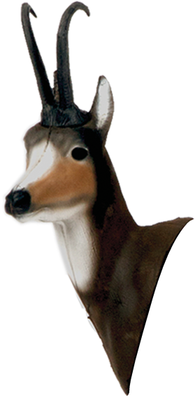 Chamois Head - Delta Mckenzie Outdoor Hunting 21840 Pro 3d - Chamois (600x600), Png Download