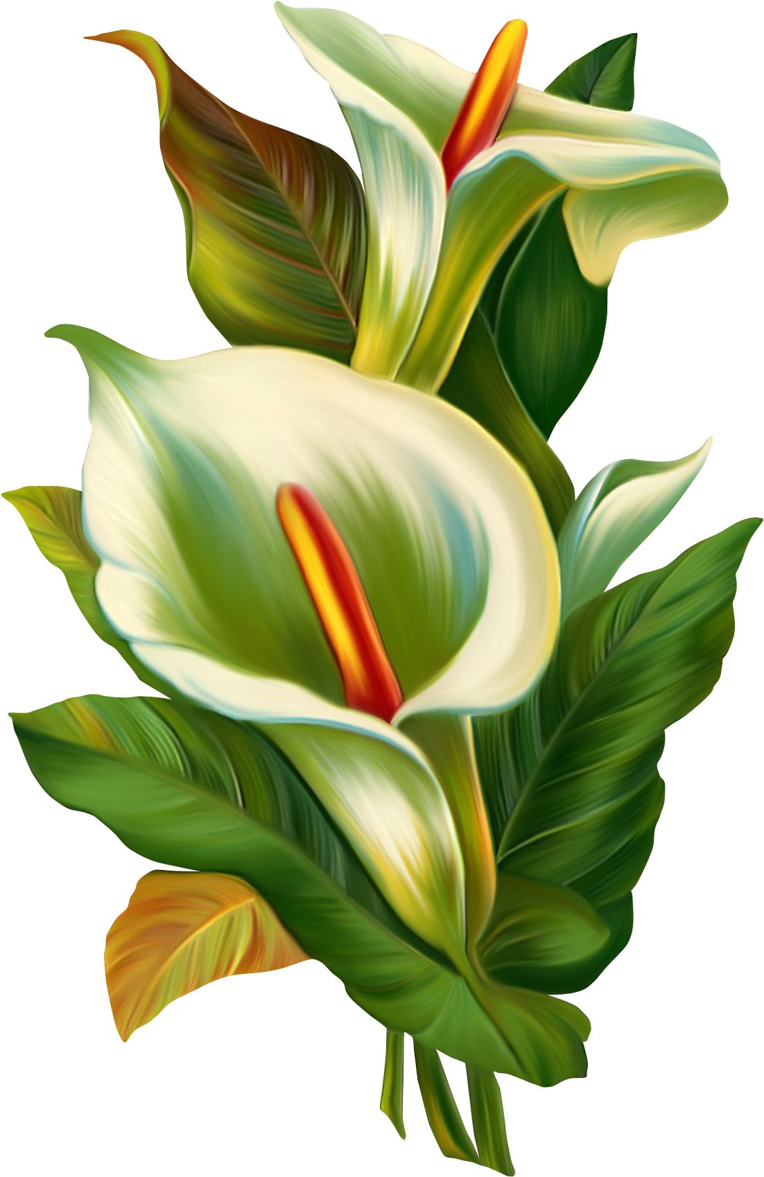 Alcatraz En Pinturas Acrilicas (1161x1757), Png Download