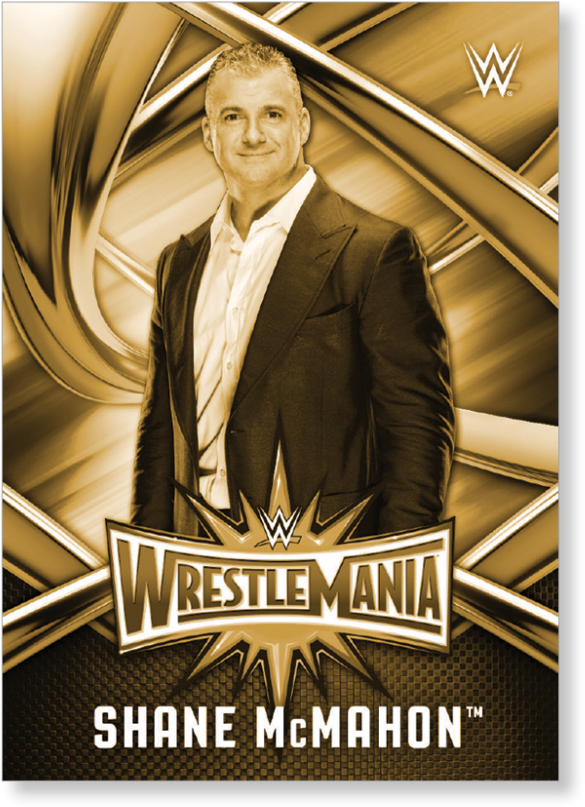 Shane Mcmahon - Official Wwe The Shows Hard Back Case (1440x975), Png Download