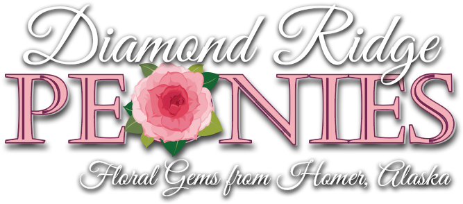 Diamond Ridge Peonies (688x316), Png Download