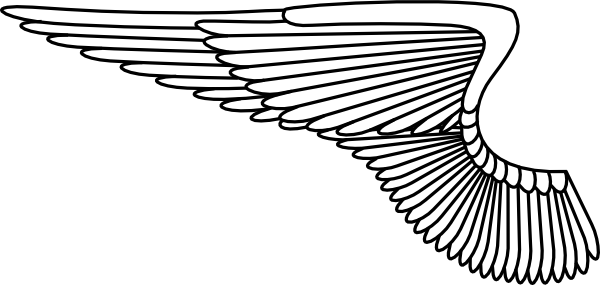 Wing - Air Force Wings Png (600x285), Png Download