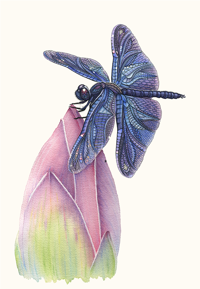 Pen, Watercolor, And Pastel On Watercolor Paper - Watercolor Painting (1000x1000), Png Download