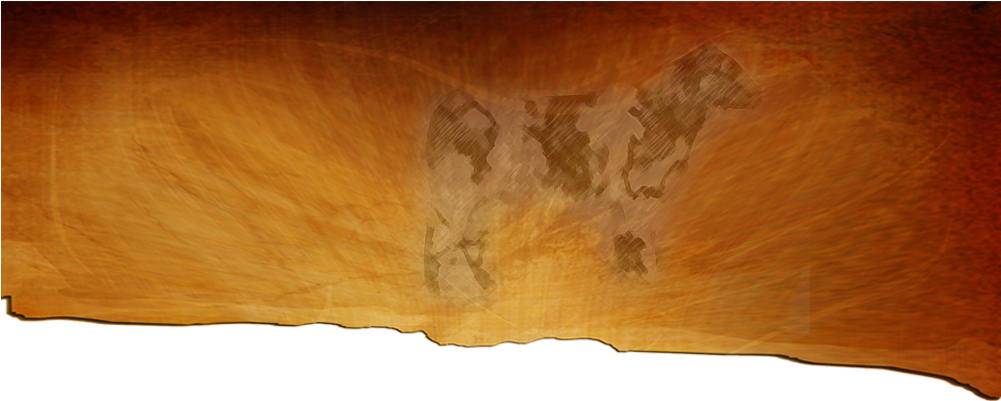 Plywood (1000x437), Png Download